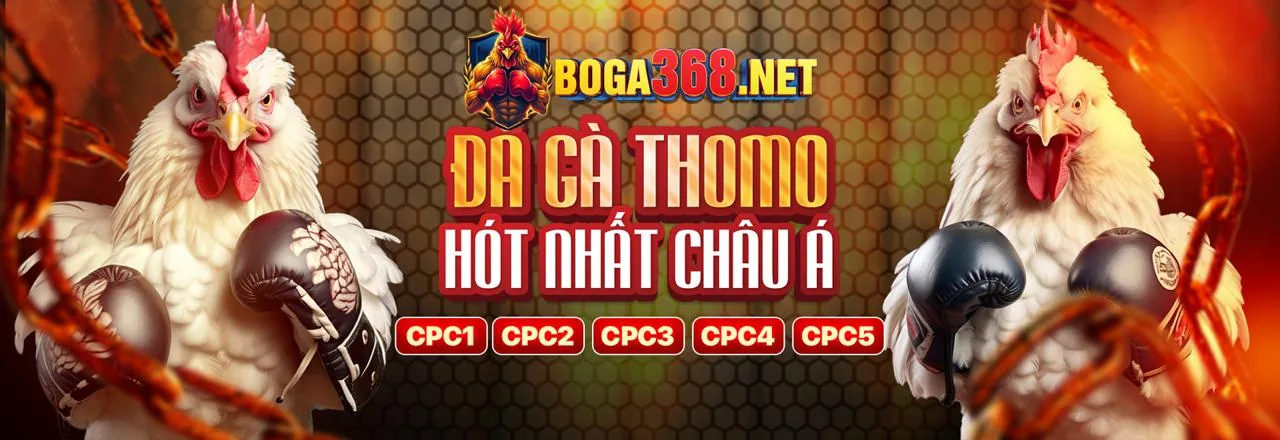 Các trò chơi và tính năng khác của ST666