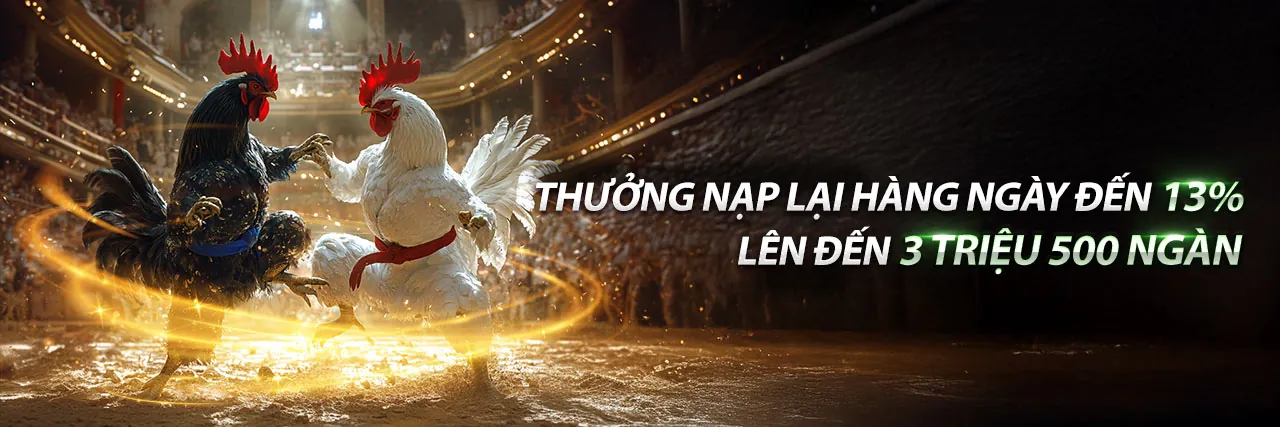 Giới thiệu về ST666